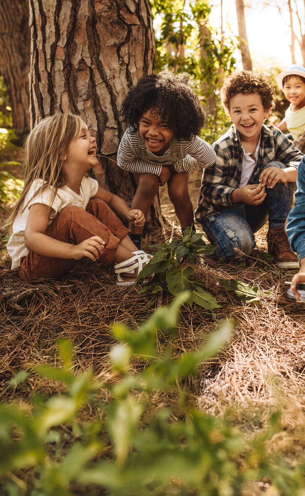 Kinder lachen und spielen im Wald