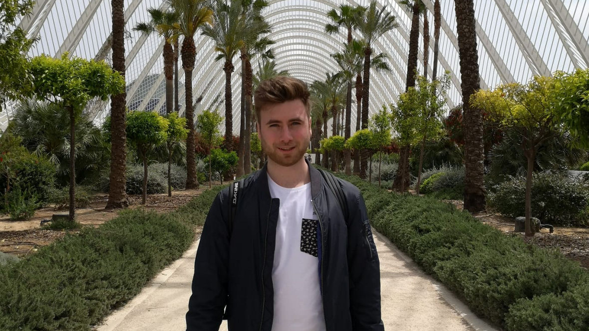 A person walking along a pathway surrounded by palm trees and greenery in a modern glass structure.