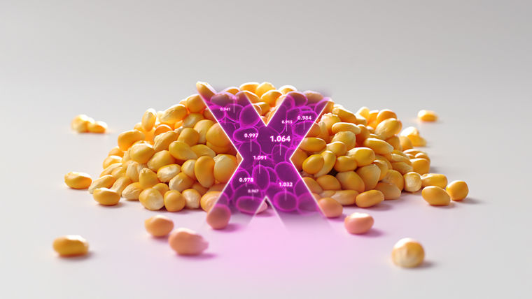 Yellow corn kernels scattered on a white surface with a glowing pink "X" overlay.