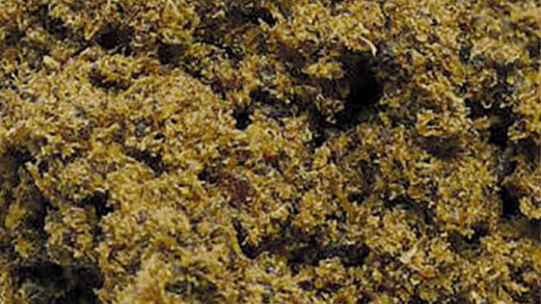 Alternative image