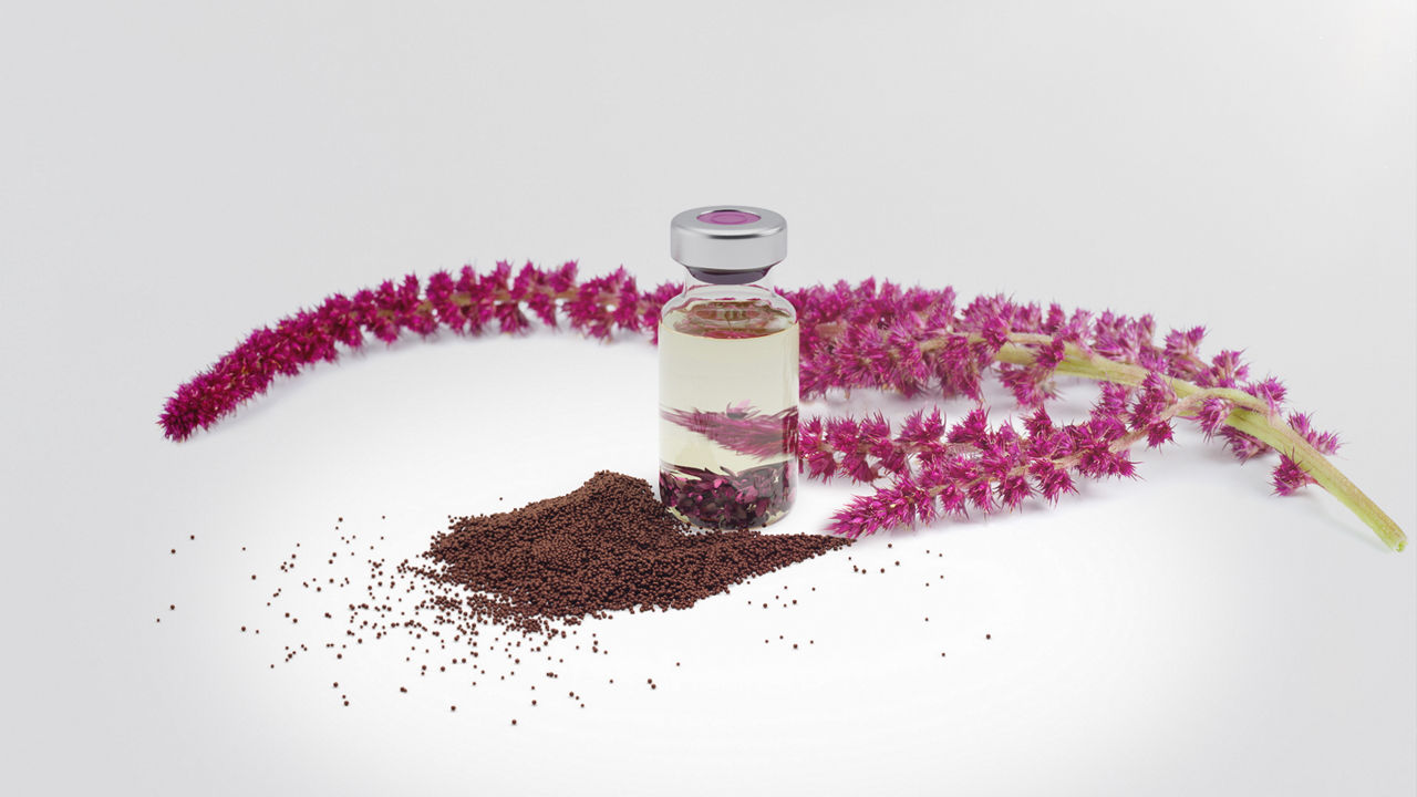 PhytoSquene®: The first plant-based squalene in the world in GMP quality