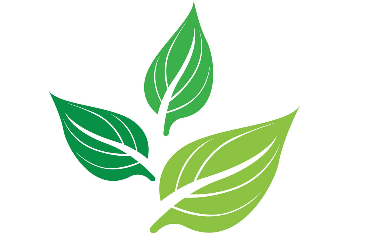 Alternative image