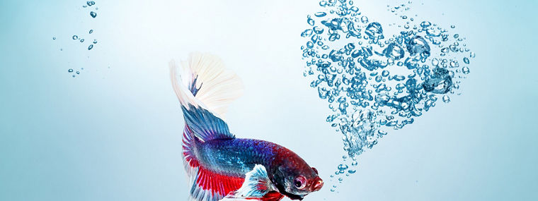 clean blue water surface with air bubbles on white background