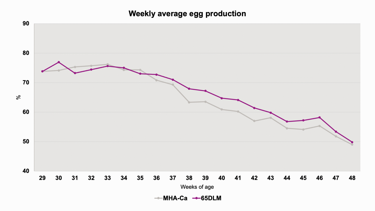 The graphic shows a comparison of weekly egg production in broiler breeders (weeks 29–48) between MHA-Ca (gray) and 65DLM (purple). No significant differences appear, though 65DLM consistently shows a slight advantage from week 36 onward.