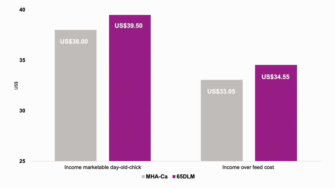 The income for marketable day-old-chick and income over feed cost were US$1.50 higher in birds fed 65DLM than MHA‑Ca