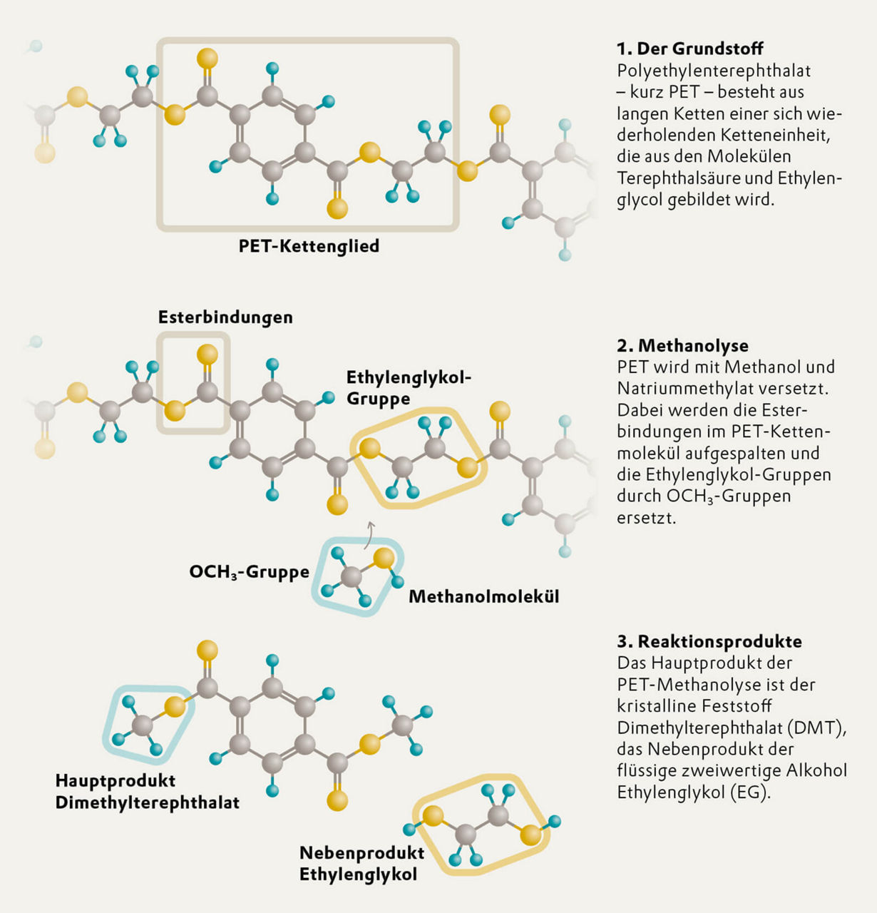 So funktioniert die PET-Methanolyse