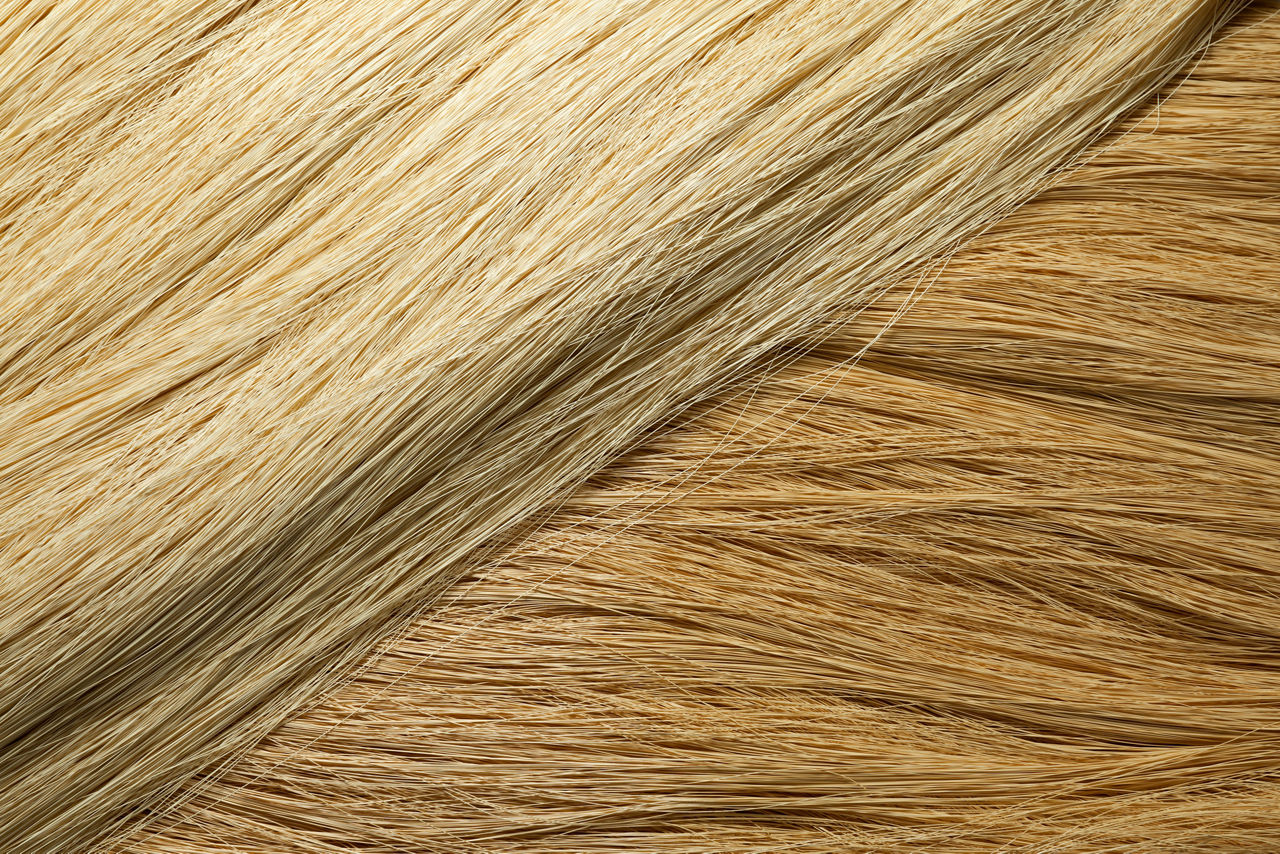 Zwei Bündel Hohlfaser-Membranen liegen über Kreuz übereinander. Sie haben etwa die Farbe von Stroh und die Dicke von Pferdehaar.