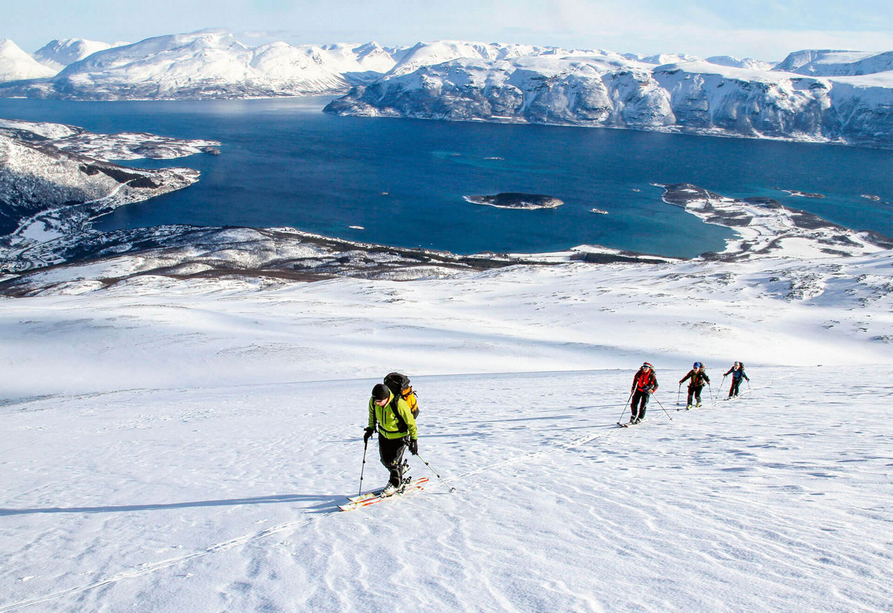 Vier Skiwanderer steigen auf Schnee einen Berg hinan, Im Hintergrund ist ein Fjord im Sonnenschein zu sehen.