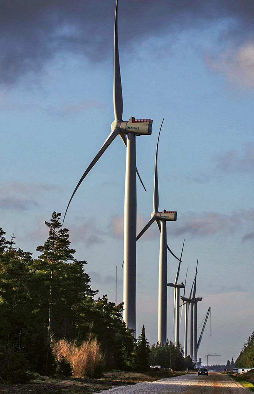 A series of different wind turbines. In front of them is a forest, which is towered over by the turbines.