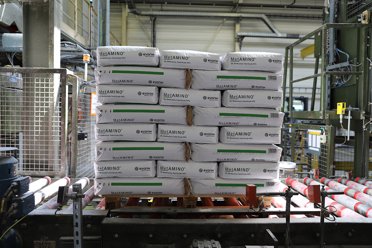 Alternatieve afbeelding