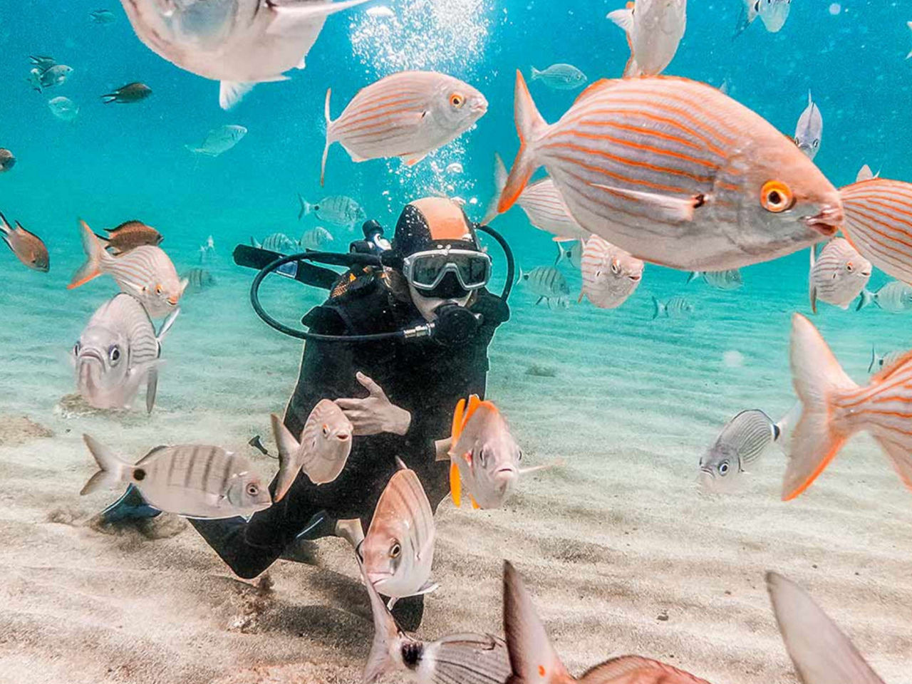 Taucherin umgeben von Fischen