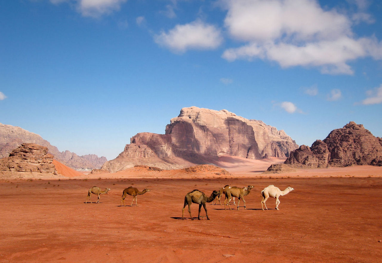 Wadi Rum