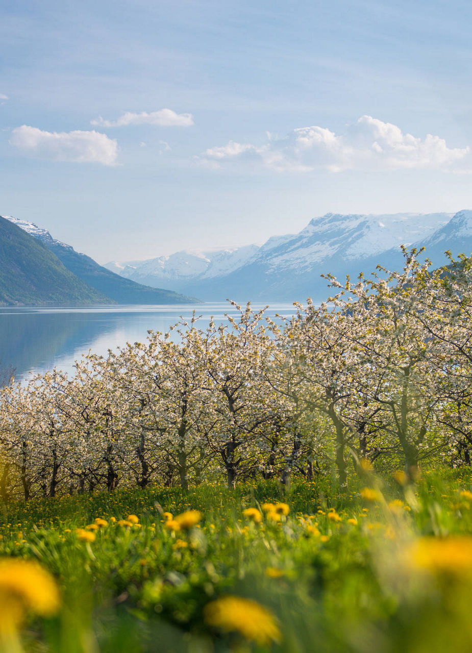 https://www.flyedelweiss.com/SiteCollectionImages/Destinations/Bergen/Tips/nature-trips-bergen-big.jpg