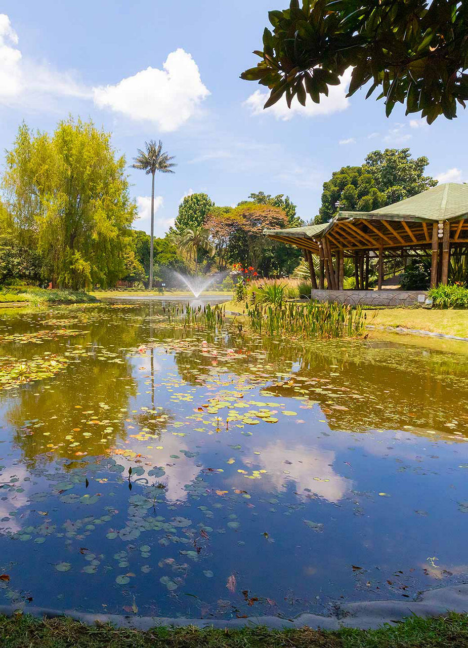 Lake in Botanical Garden 