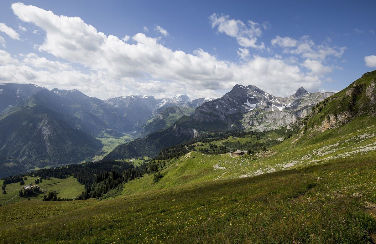 Braunwald_1