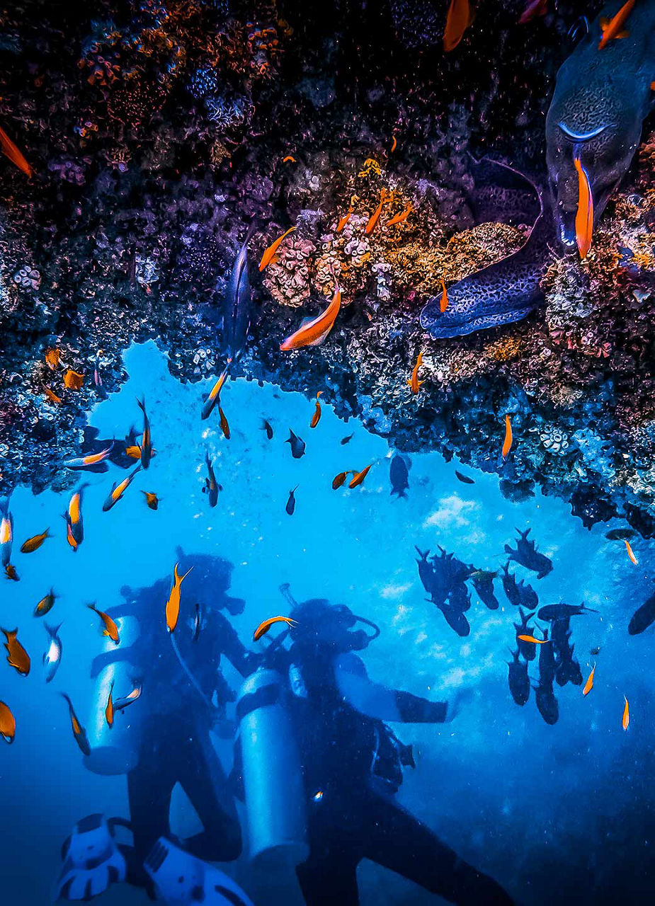 Two people diving