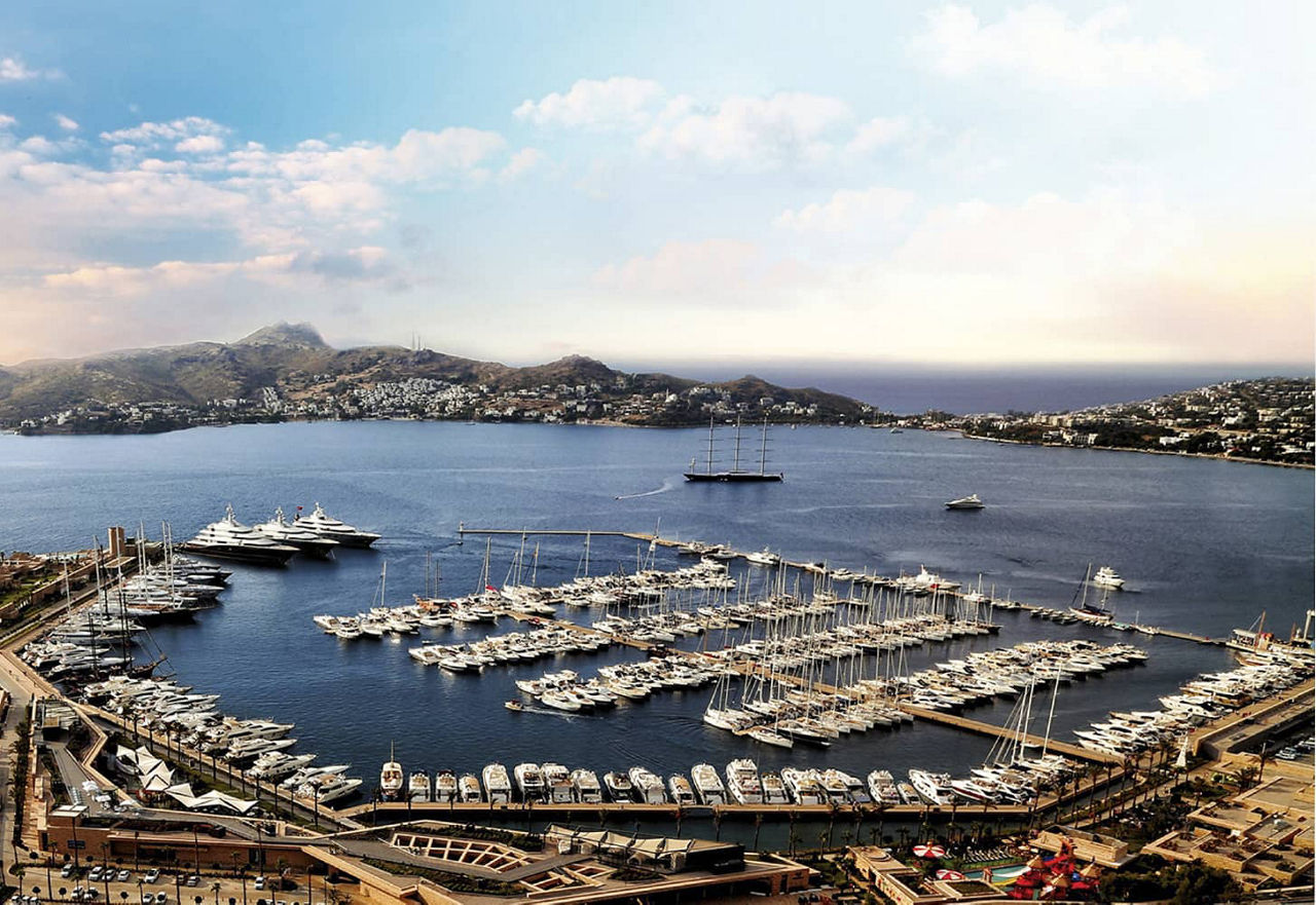Palmarina marina with numerous parked ships