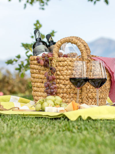 Picnic with Wine