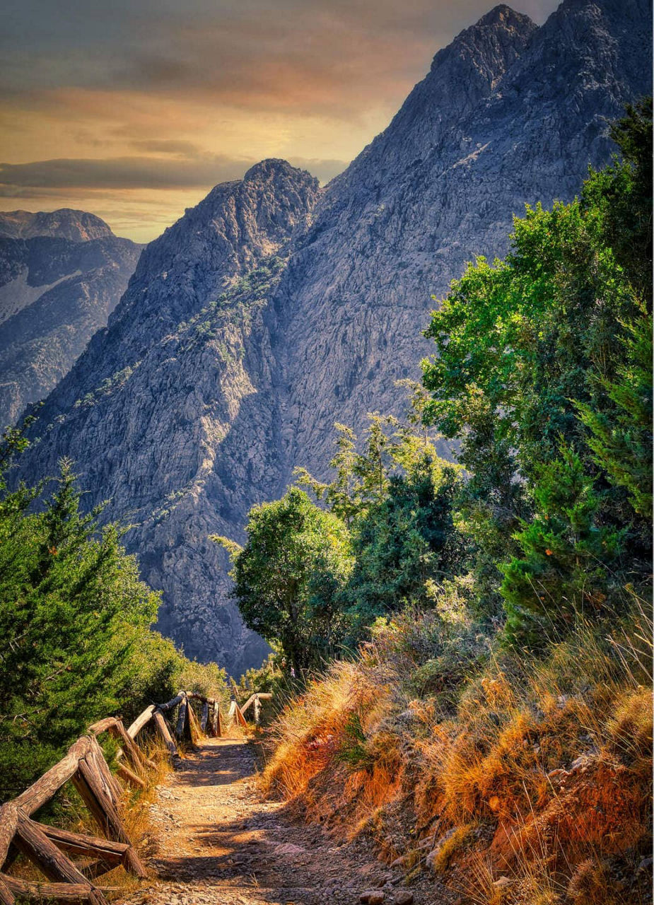 Path Through the Canyon