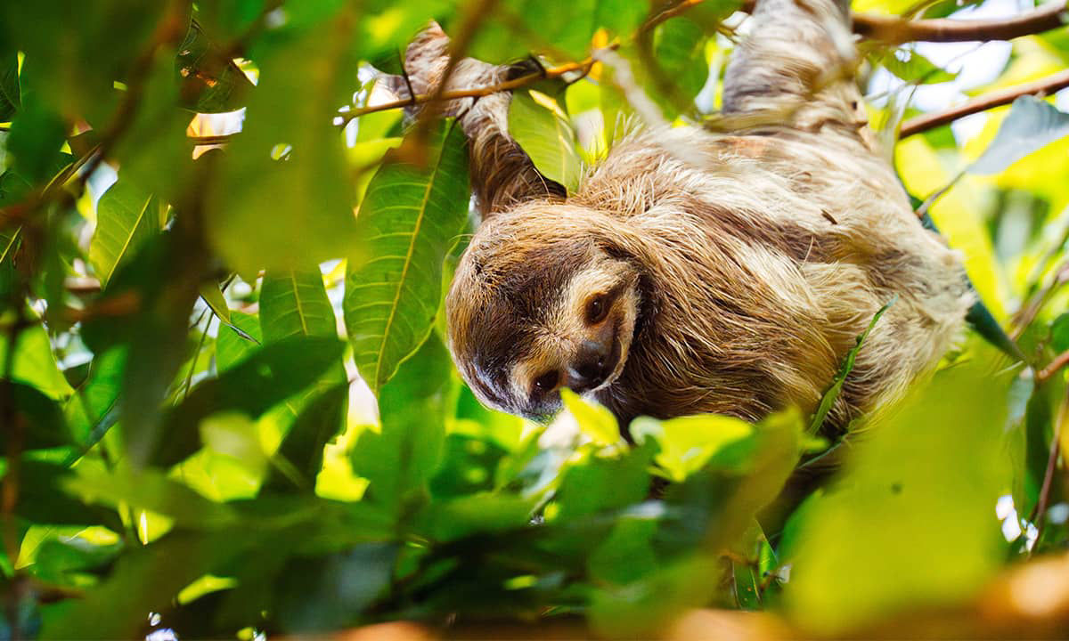Costa Rica