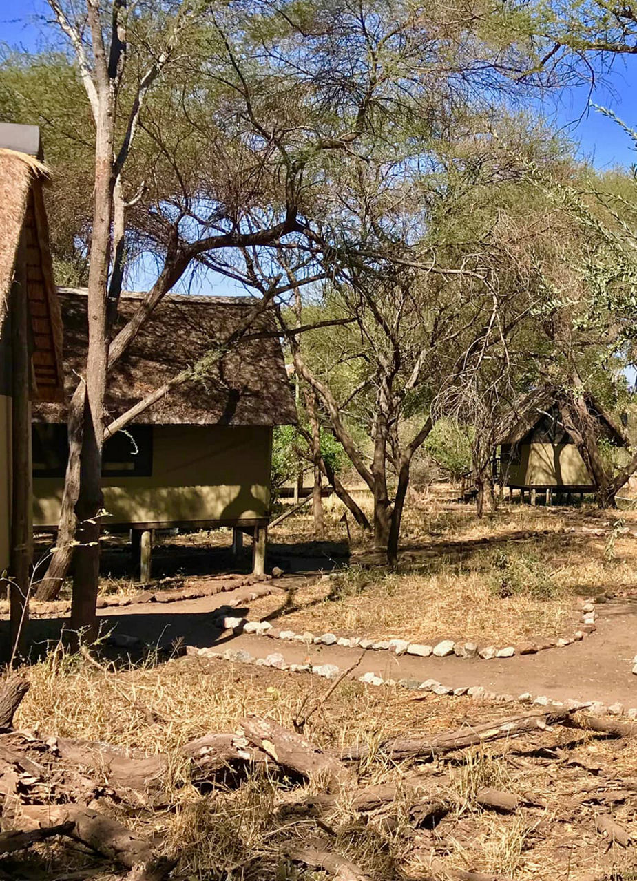 Camp Makuleke in South Africa