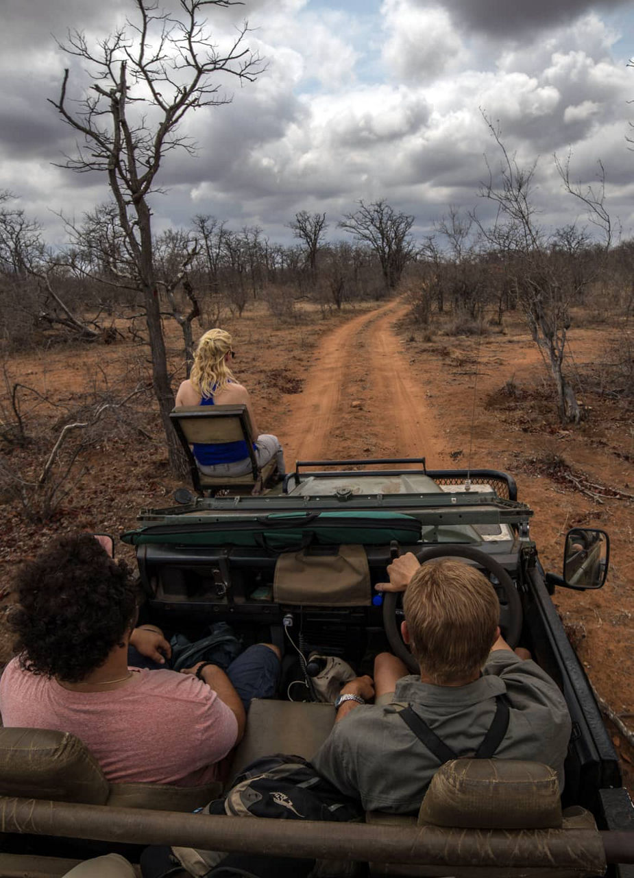 Game Drive in Southern Africa