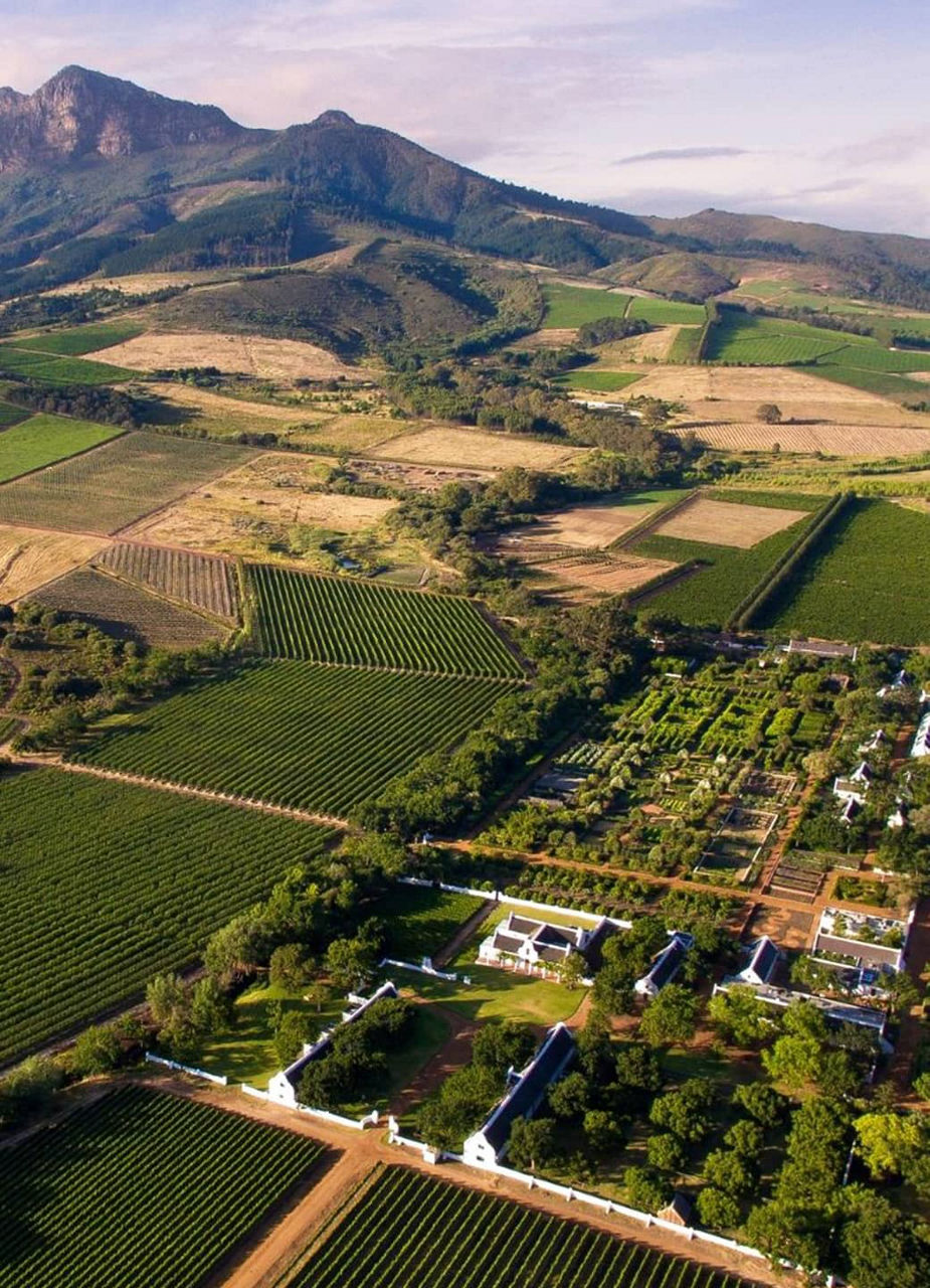 Babylonstoren Aerial