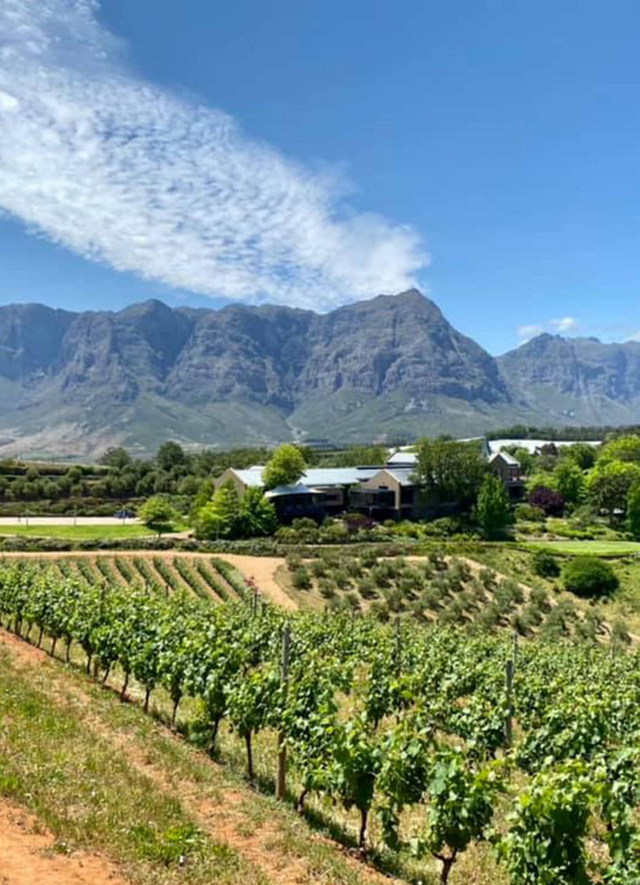 https://www.flyedelweiss.com/SiteCollectionImages/Destinations/Capetown/Tips/wineries-tokara-big.jpg