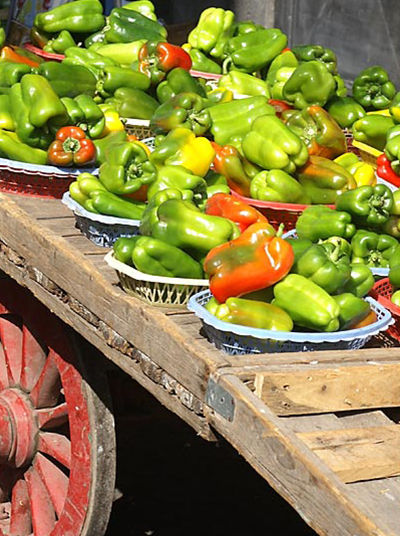 Colourful Peppers