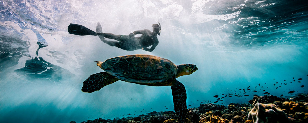 Diving in Egypt Hurghada & Marsa Alam Edelweiss