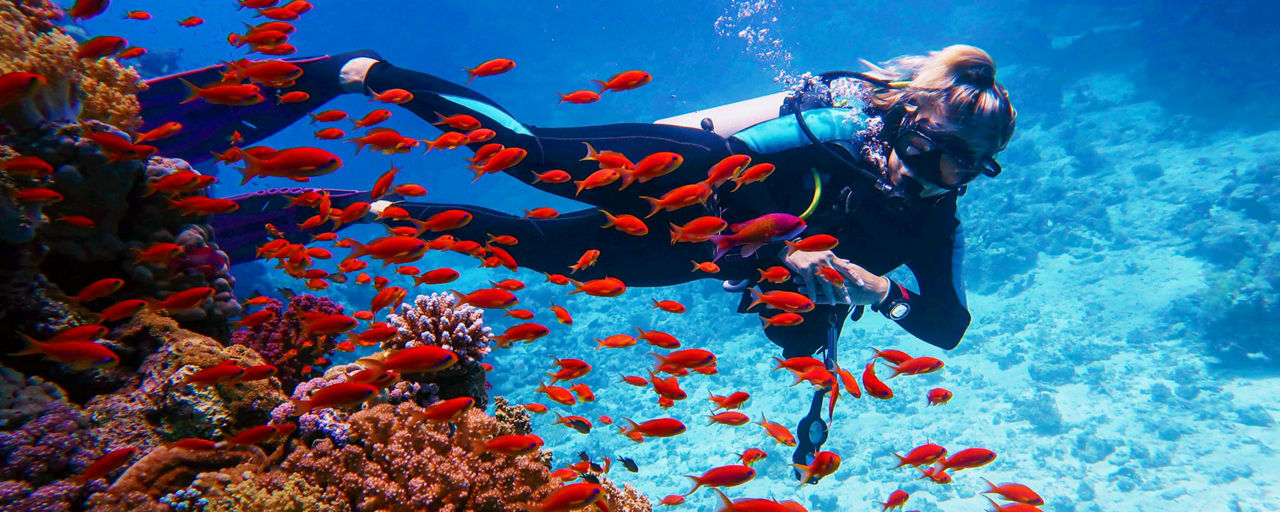 Scuba diving in Phuket