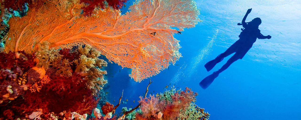 Scuba diving in Sardinia