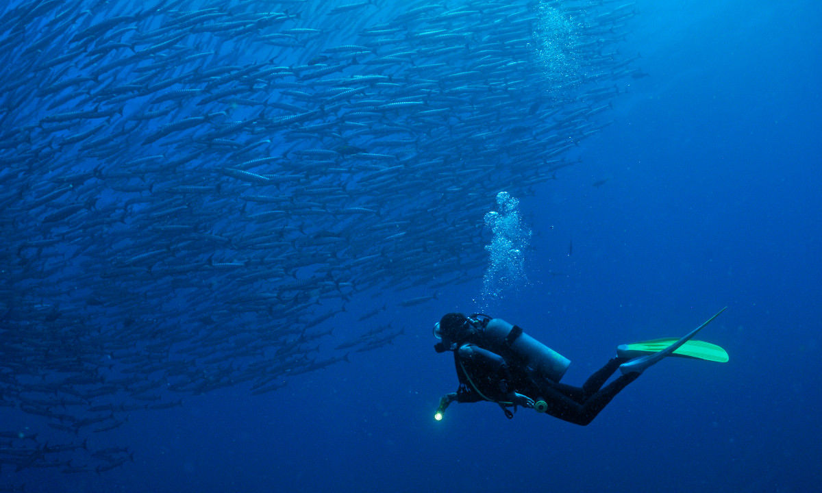 Tenerife wreck diving