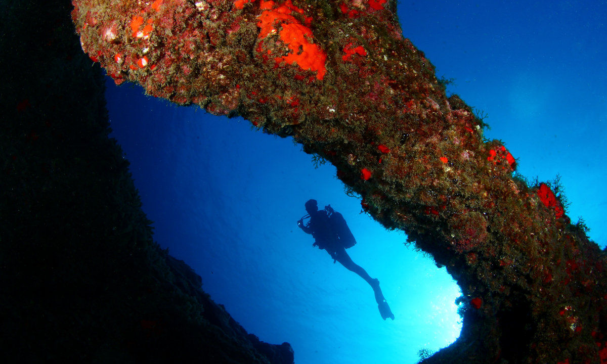 Tenerife wreck diving