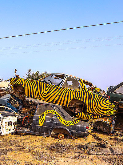 Painting of tiger on car