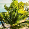 Punta Cana