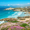 Newquay
