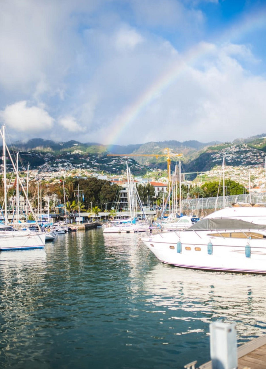 Harbour of Funchal