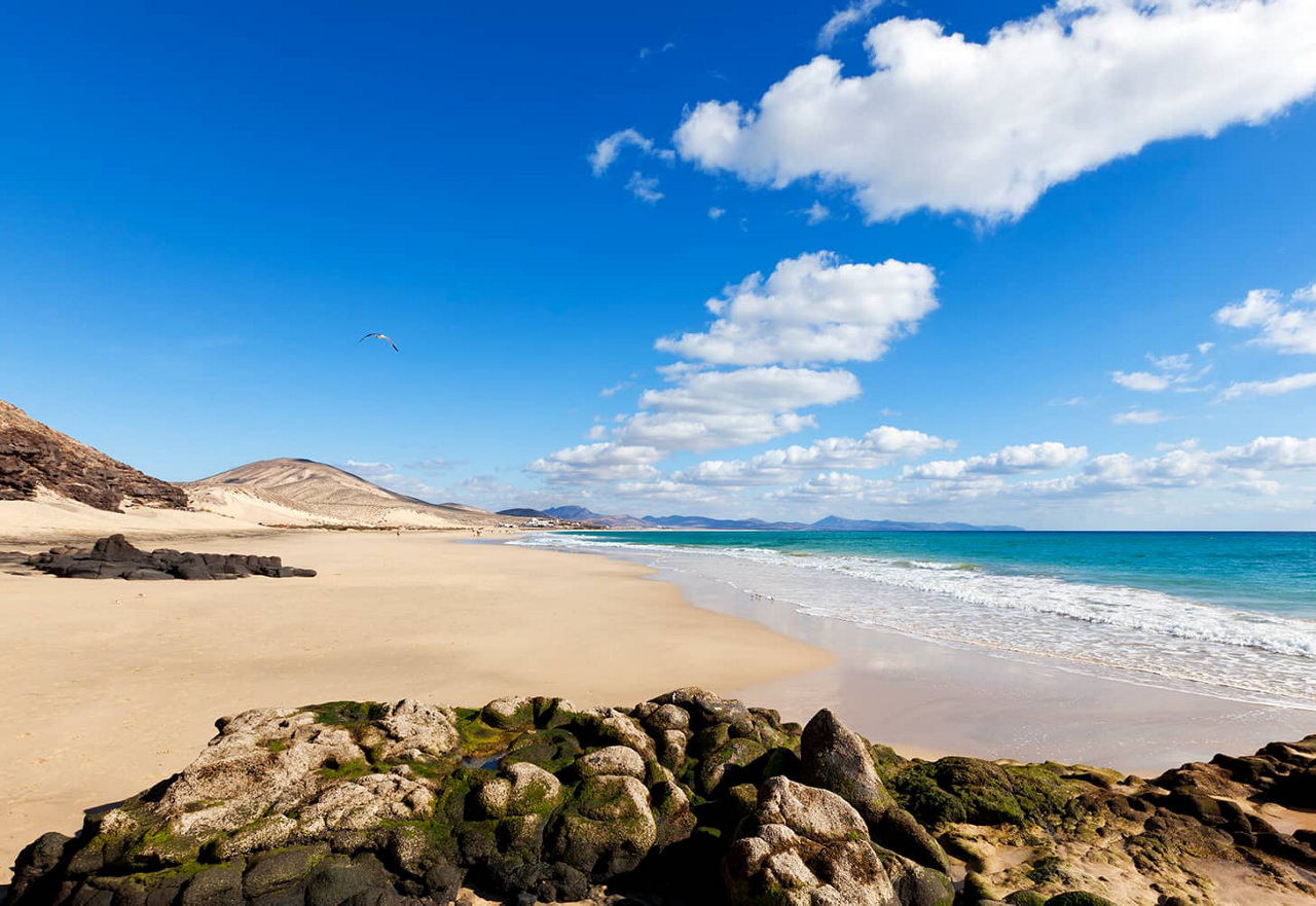 Empty and vast sandy beach