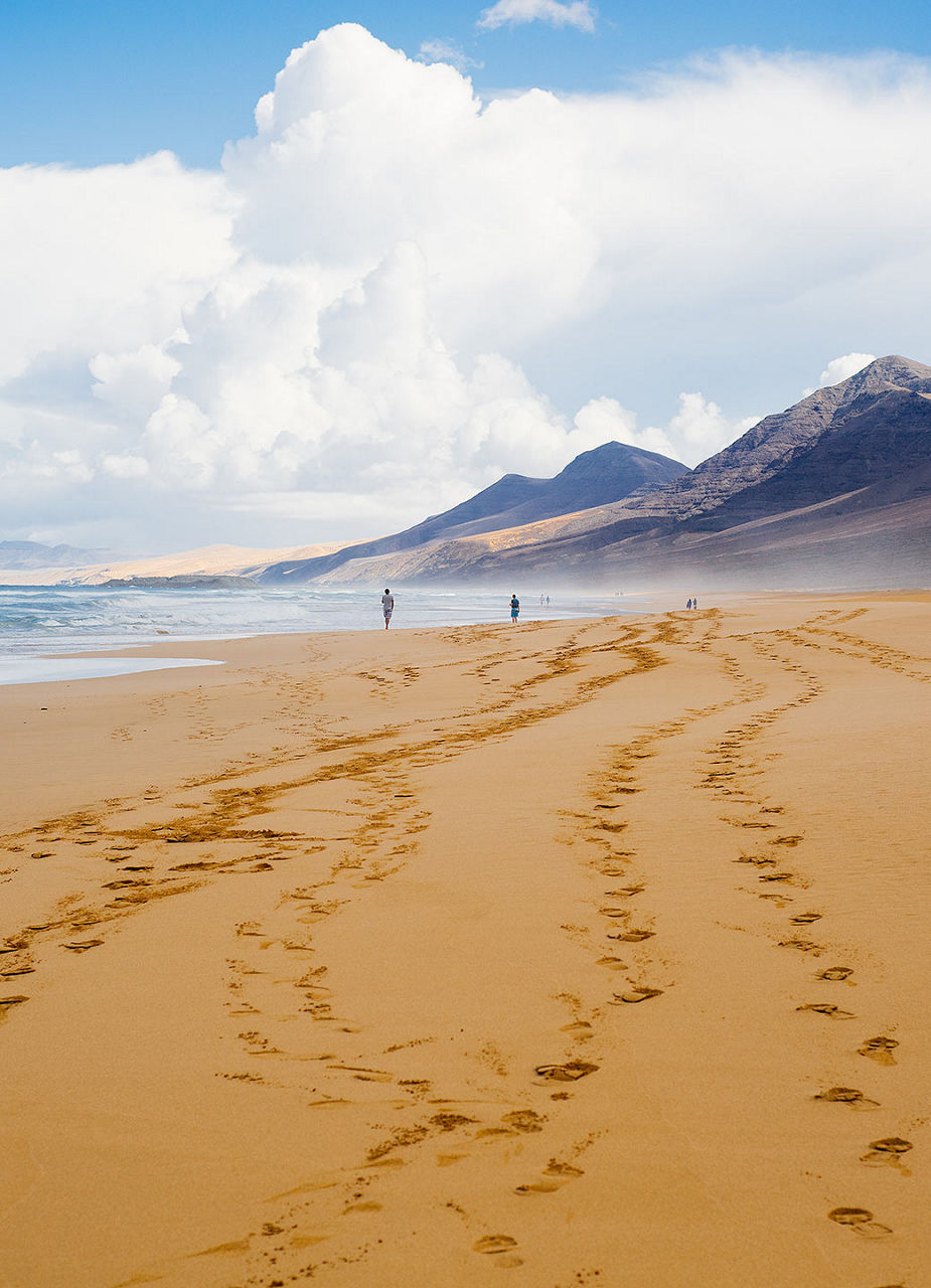 Fuerteventura's most beautiful beaches | Edelweiss