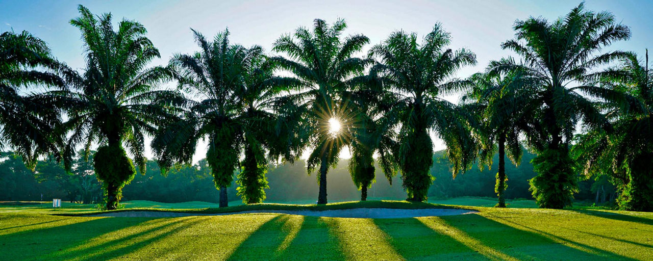 Golfing in Phuket