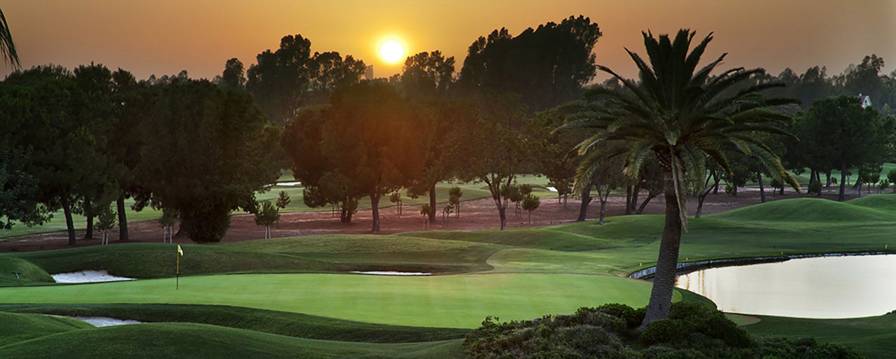 Golfing in Seville