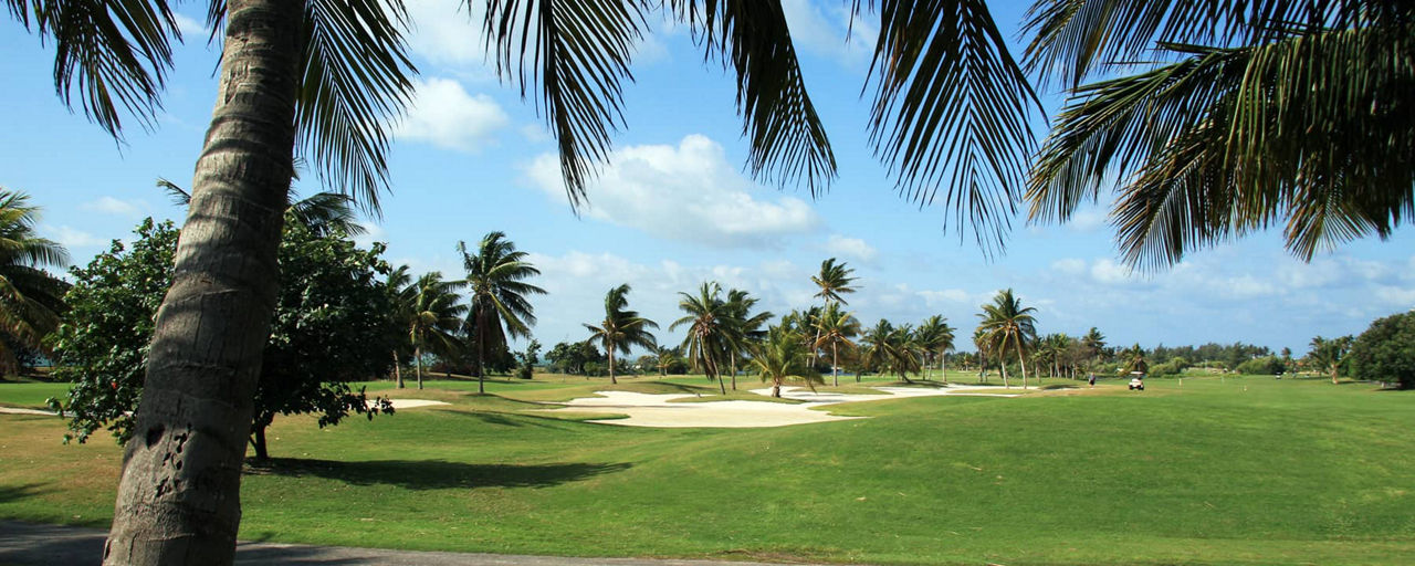 Golfing in Cuba
