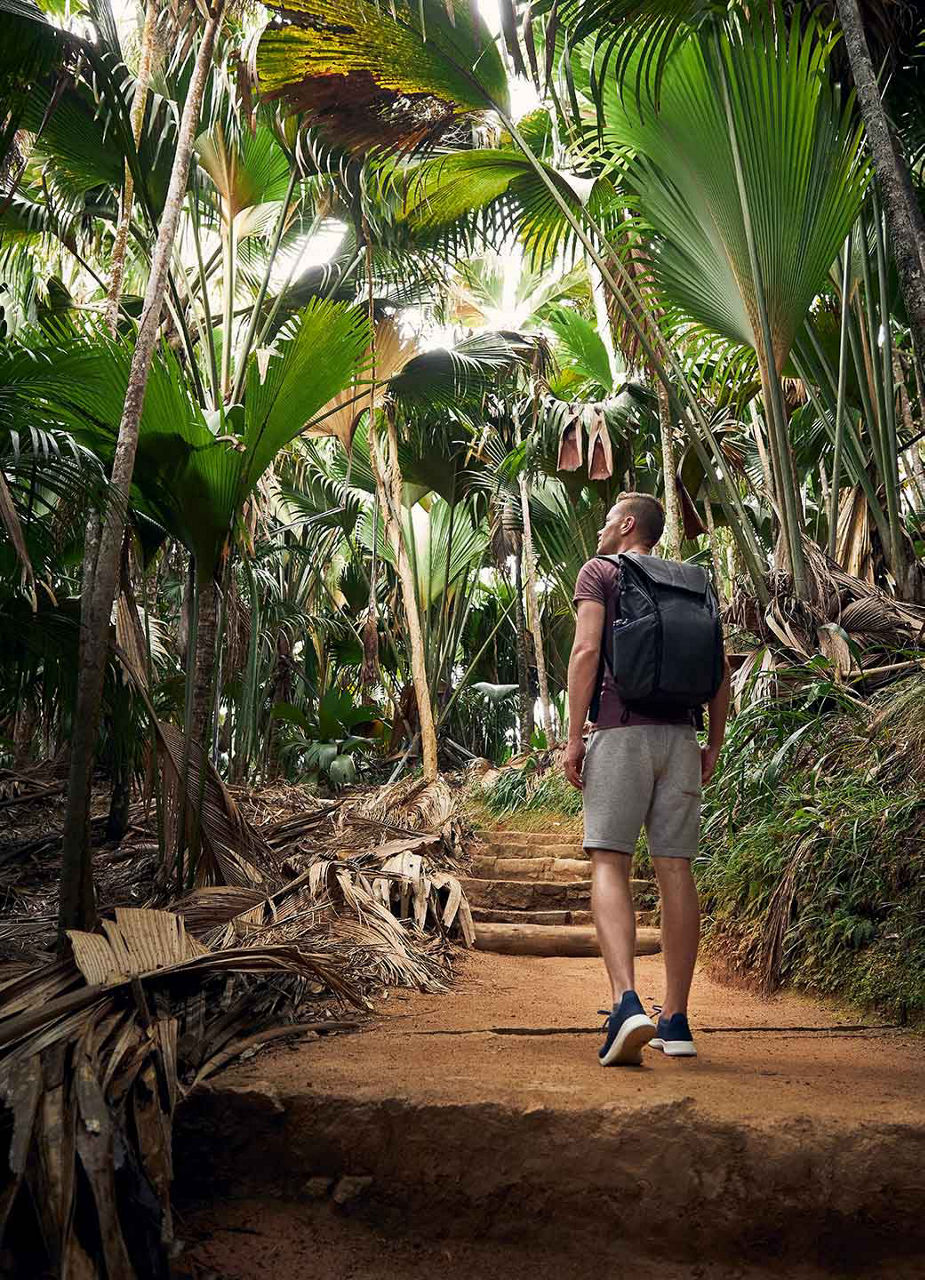 Guy hiking in jungle