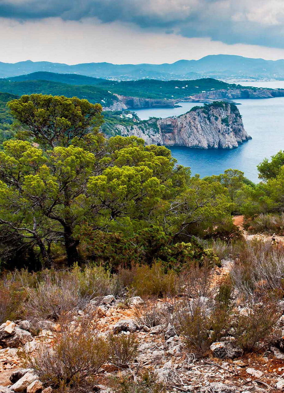 View over the Coast