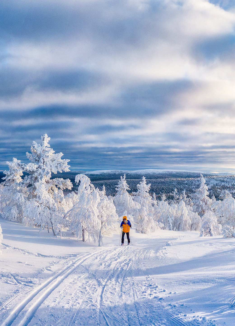 Pays des merveilles d'hiver en Finlande