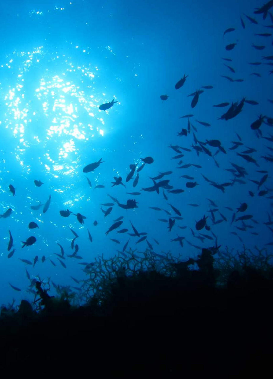 Underwater World Skiathos