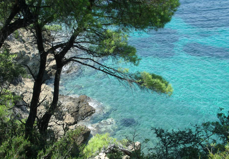 Paysage de Skiathos