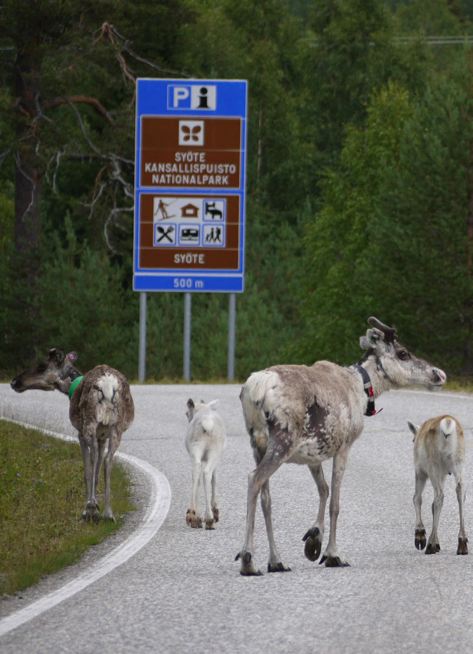 Rennes et panneau de signalisation