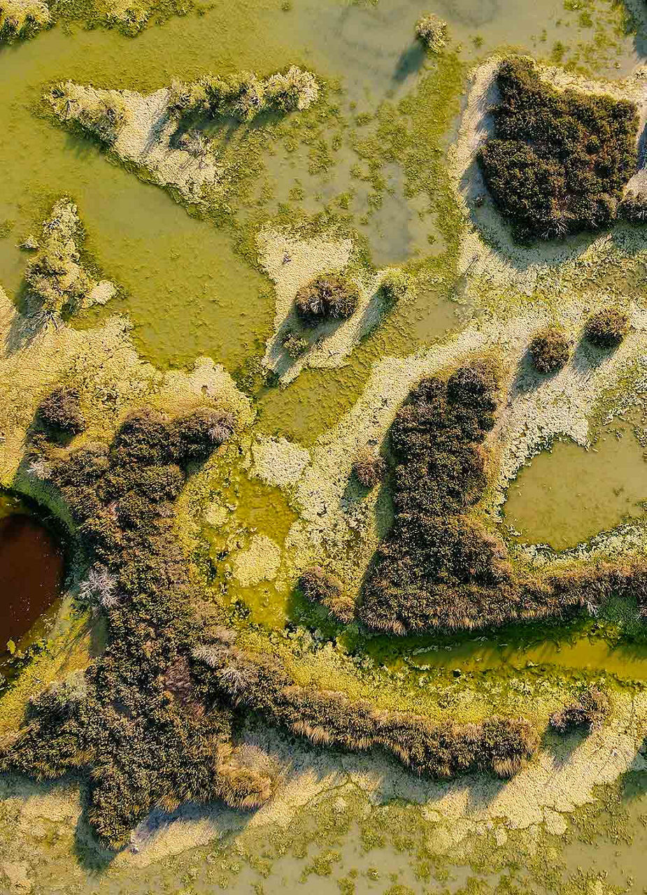 Aerial View of Lake